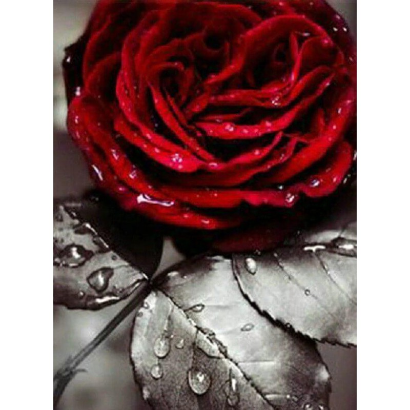 Red Rose 5D Diamond ...