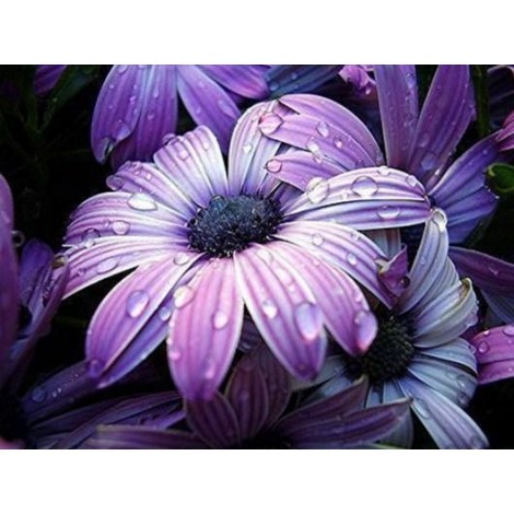 Purple Flowers DIY Painting