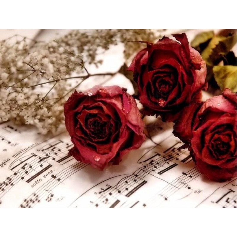 Roses DIY Painting K...