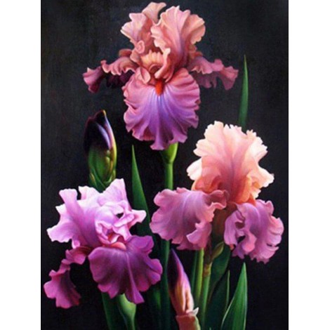 Iris Diamond Painting Kit