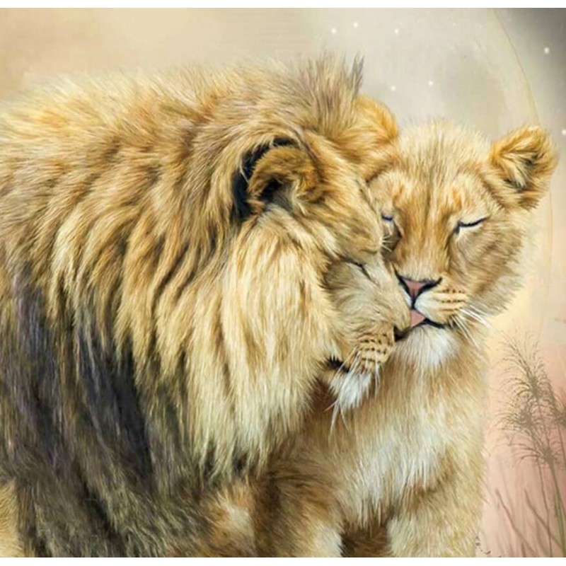 Lion & Lioness L...