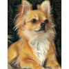 Chihuahua Diamond Painting