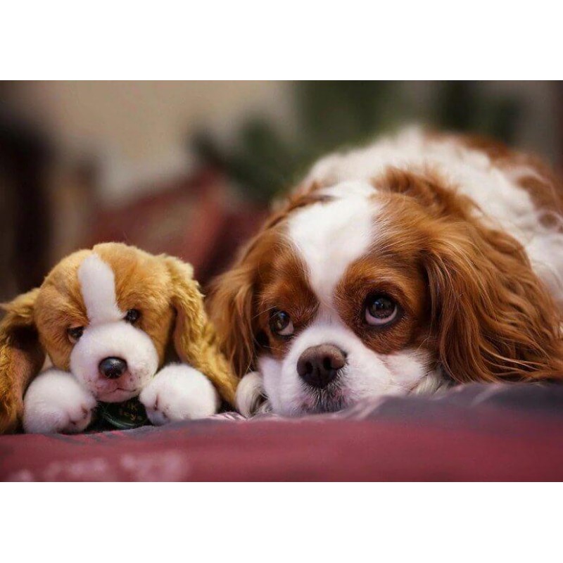 Puppy with a Stuffed...