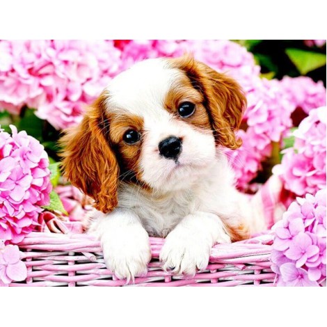 Puppy in Flower Basket
