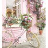 Flowers & Bicycle Painting Kit