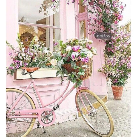 Flowers & Bicycle Painting Kit