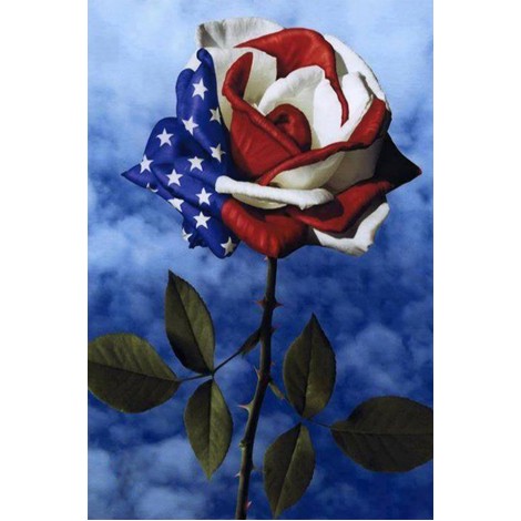 American Flag on Flower DIY Diamond Painting