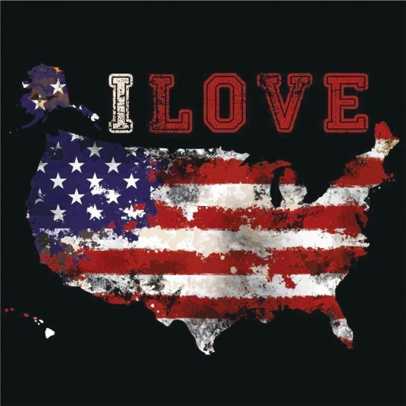 I LOVE USA | DIY Dia...
