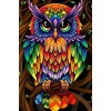 Colorful Owl DIY Painting Kit