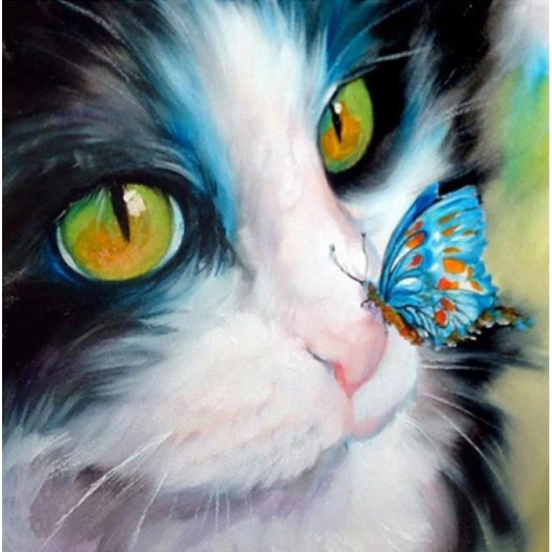 Cat with Butterfly o...