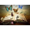 Fantasy Book - Diamond Painting Kit