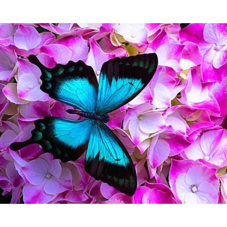 Pink Flowers & Blue Butterfly