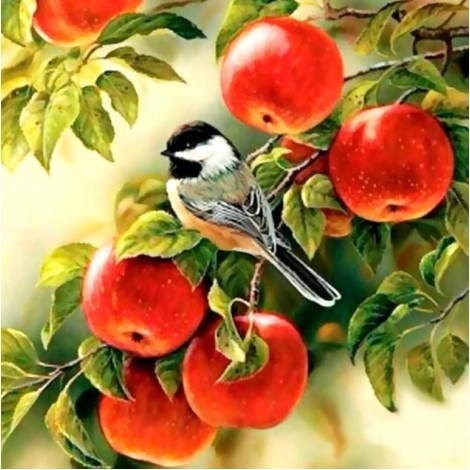 Sparrow Sitting on Apples Tree