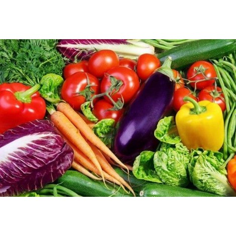 Fresh & Healthy Vegetables