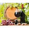 Grapes & Wine Painting Kit