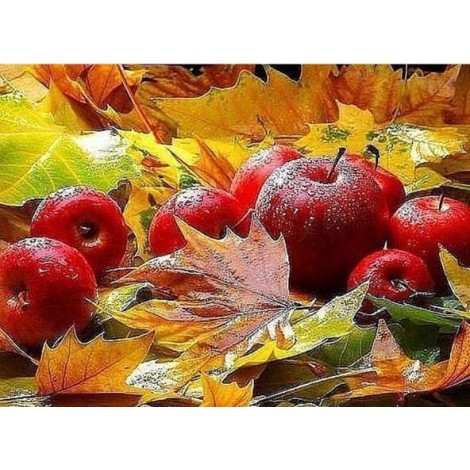 Autumn Leaves & Fruits