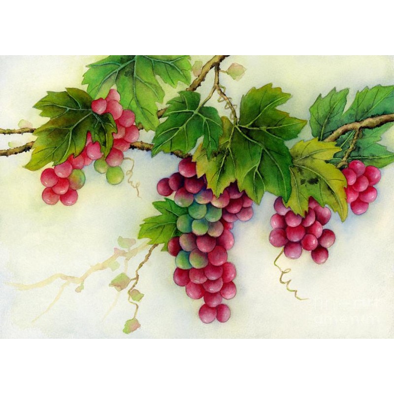 Grapes on Branches D...