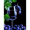 Wine Glass Diamond Painting Kit