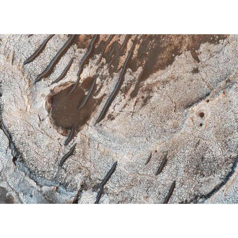 The Red Planet's Lay...