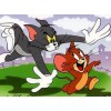 Tom Chasing the Jerry