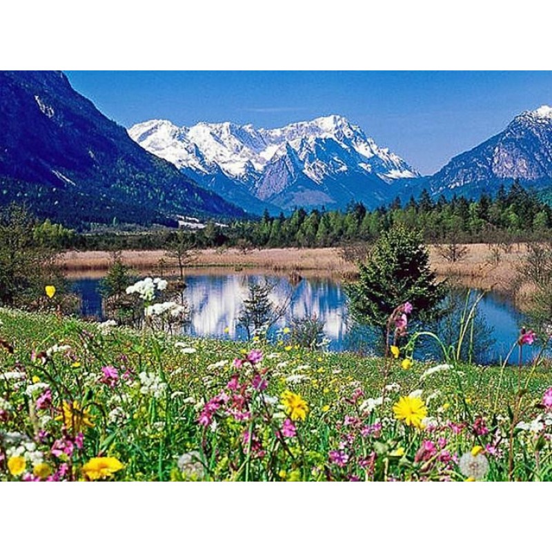 Loisach River - Pain...