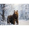 Bear in Snow Diamond Painting Kit