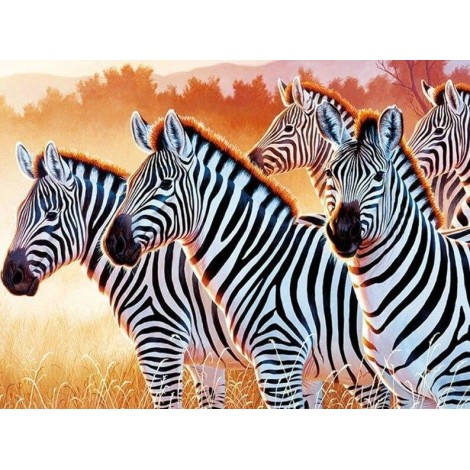 Zebras