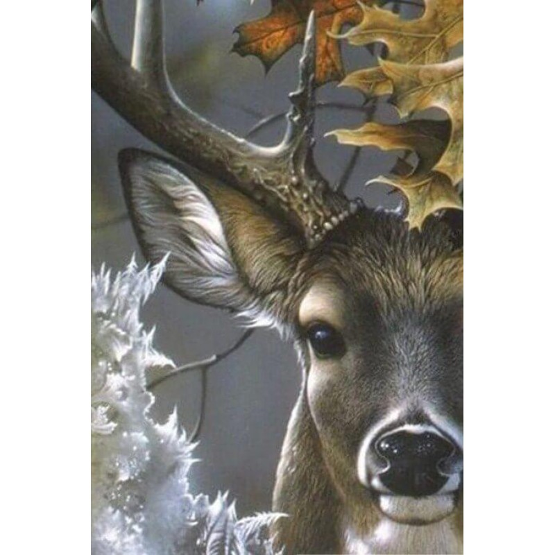 Reindeer Painting Ki...
