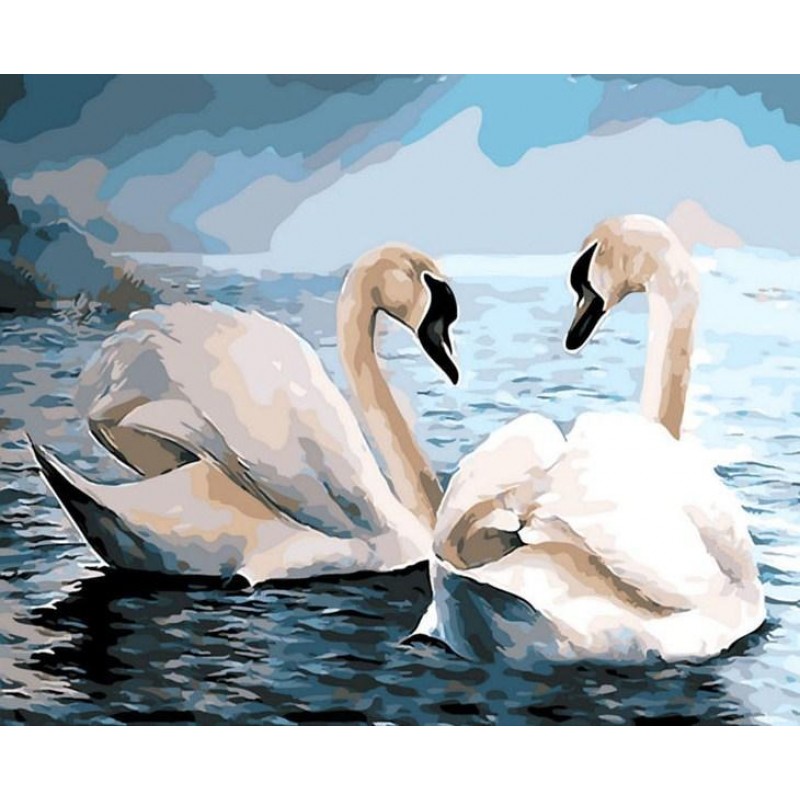 Swans Pair in Water ...