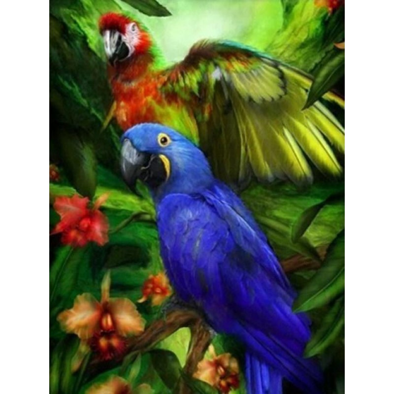 Tropical Birds - Pai...