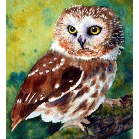 Northern Saw-Whet Owl Diamond Painting
