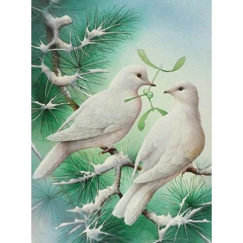 Pigeons Pair - Paint...
