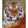 Mighty Tiger Diamond Painting