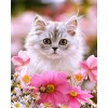 Cat Sitting in Flowers
