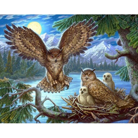 Owl Family Sitting in the Nest