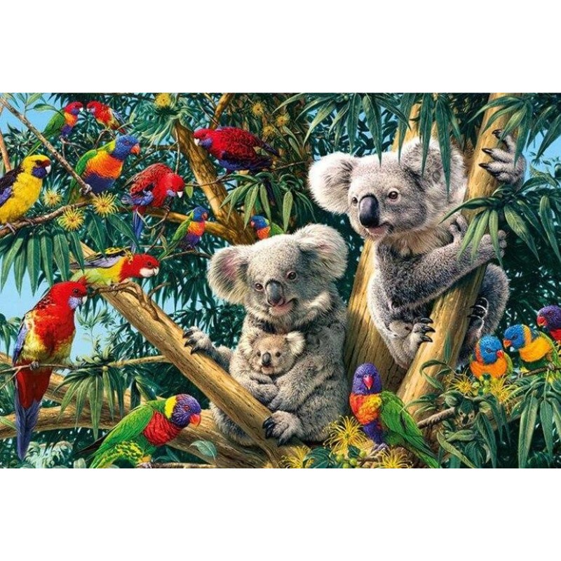 Birds & Koalas on Tre...
