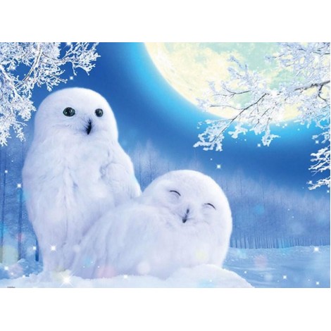 Snow Owls Diamond Painting Kit