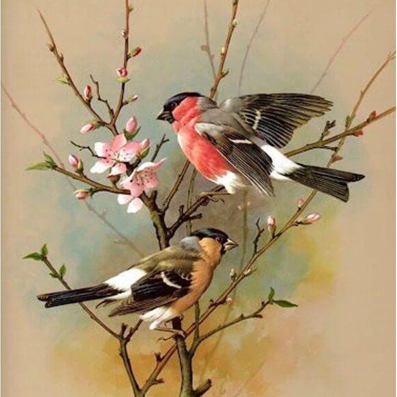 Vintage Birds Painti...