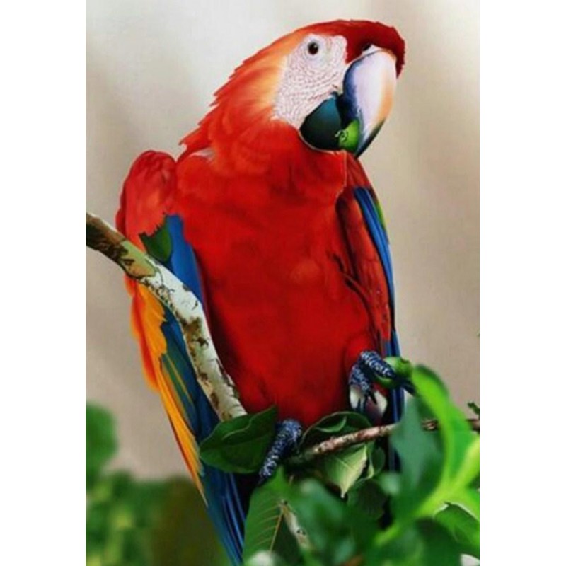 Red Parrot Diamond P...