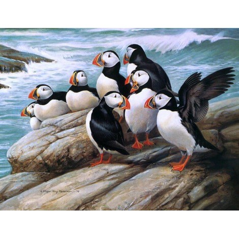 Puffins Diamond Painting Kit