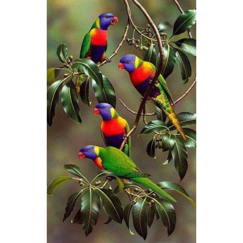 Colorful Parrots on ...
