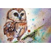 Owl DIY Painting Kit