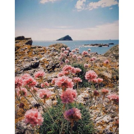 Flowers by the Ocean