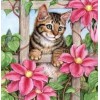Pink Flowers & Spying Cat