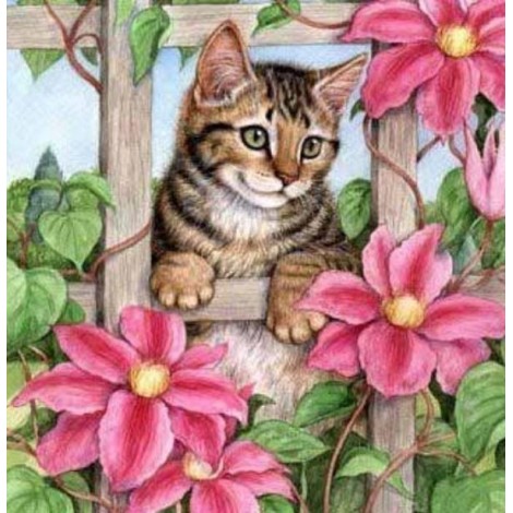Pink Flowers & Spying Cat