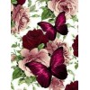 Gorgeous Butterflies & Roses