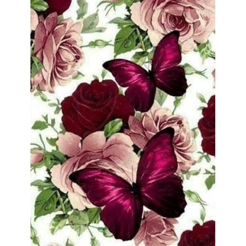 Gorgeous Butterflies...