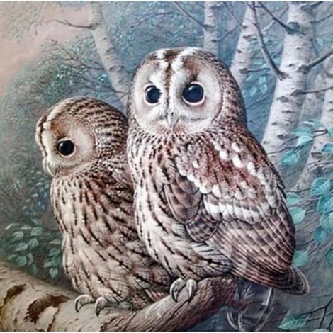 Owl Couple DIY Painting