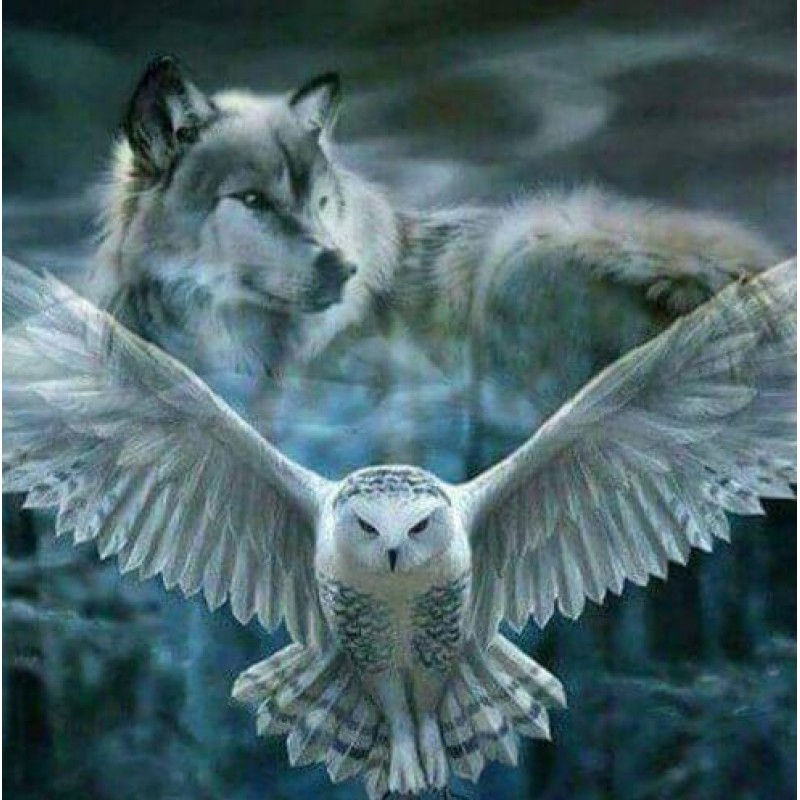 Wolf & Owl Paint...