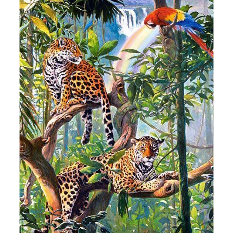 Parrot & Leopard...